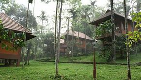 streamvalley_treehouse