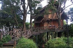 greengates_treehouse