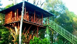 mistymountain_treehouse