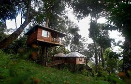 naturezone_treehouse