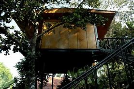 wynberg_treehouse